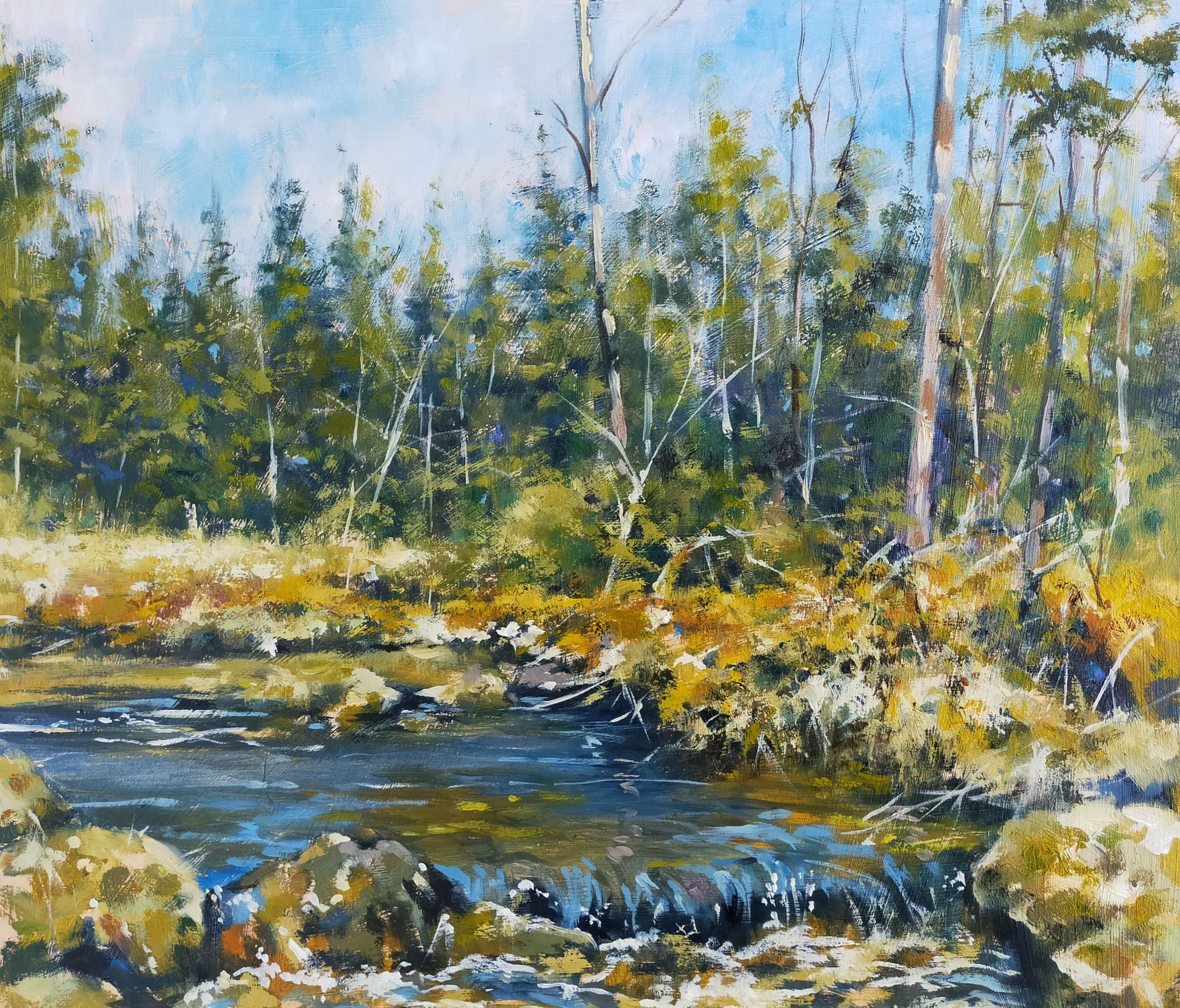 Kenick Burn, Galloway , Scotland