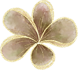 Untitled design.png