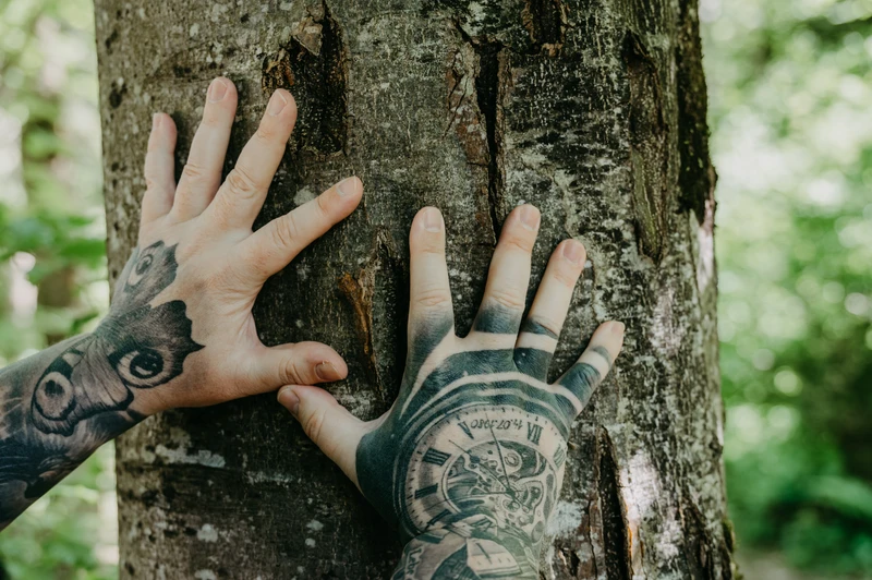 Heilende Hände an einem Baum