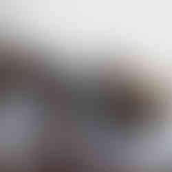 Cooking on a gas burner in the wilderness