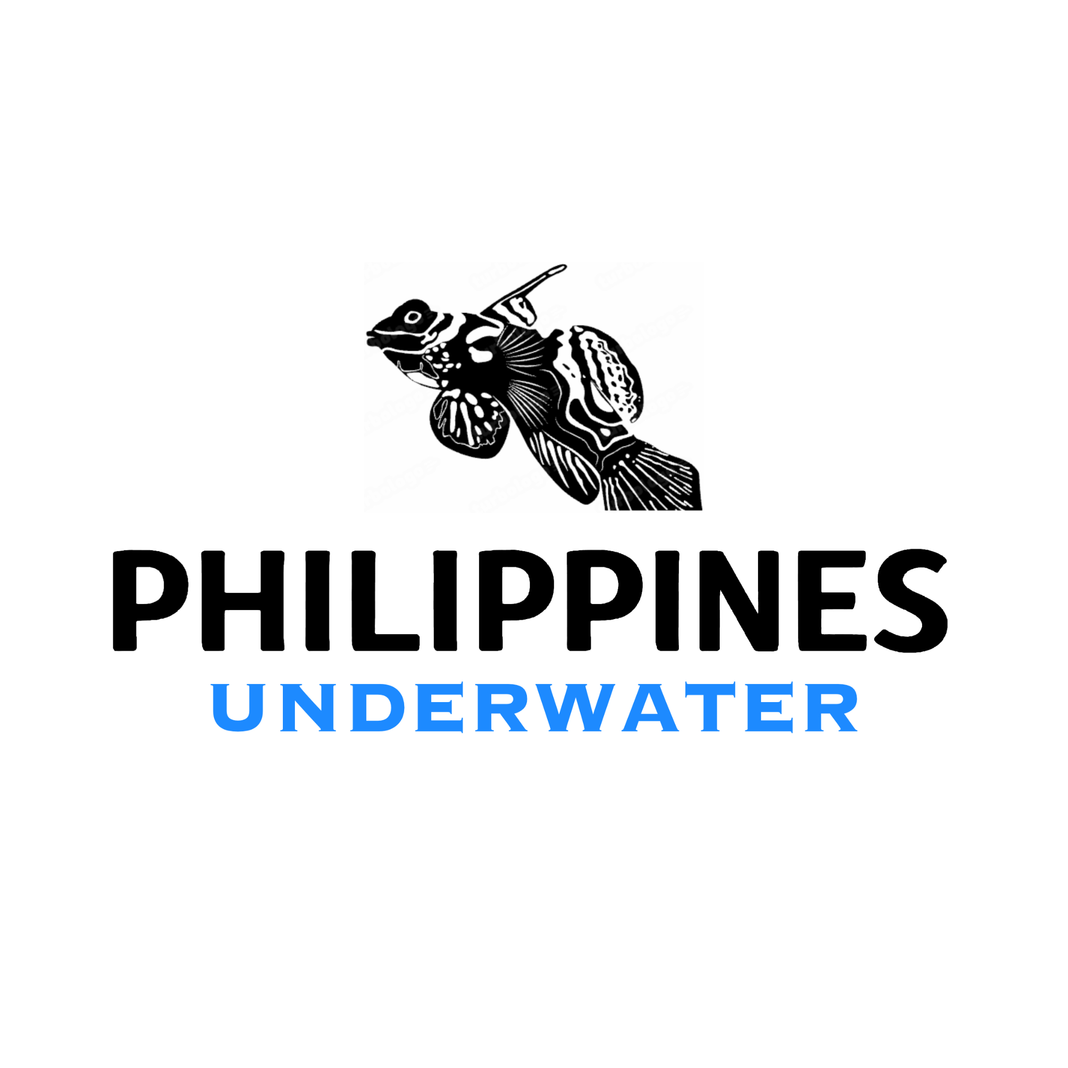 Writer: Philippines Underwater