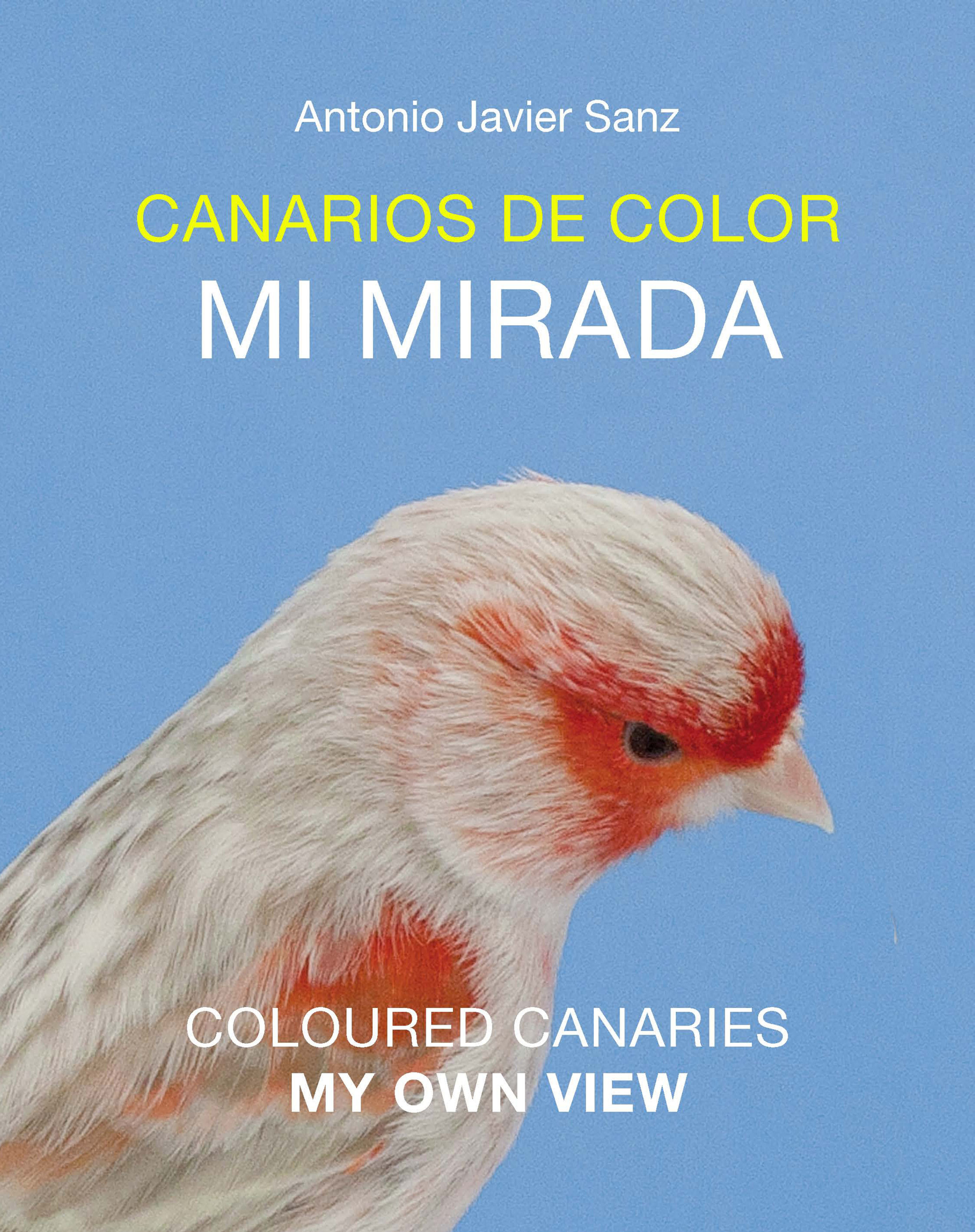CANARIOS DE COLOR, MI MIRADA