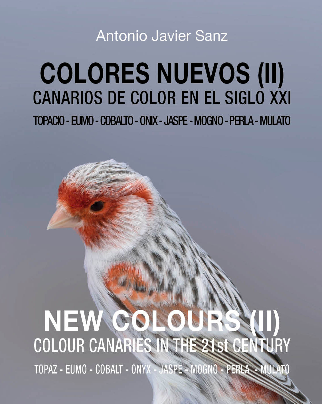 COLORES NUEVOS (II) Del Topacio al Mulato