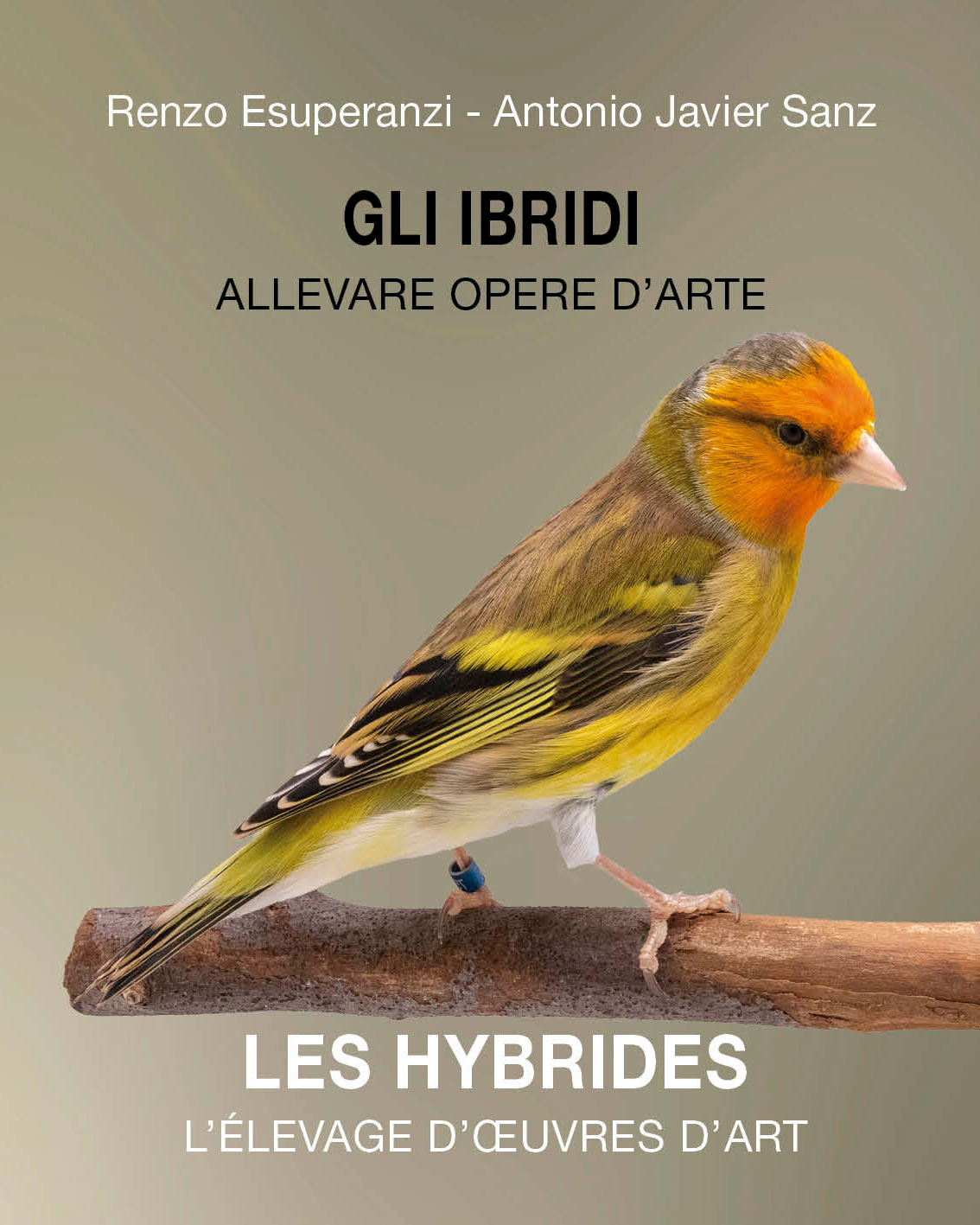 GLI IBRIDI - LES HYBRIDES