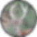Gabatos Crecimiento.png