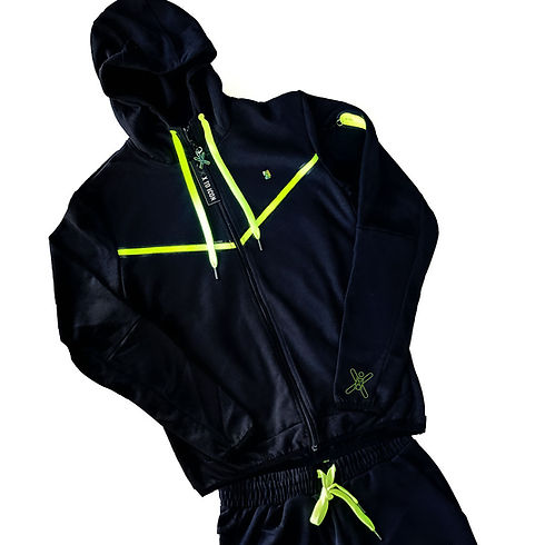 dir hoodie whole small display.jpg