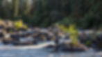 5DA3545-0712-o.jpg