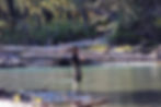 IMGP2751 - Copy.JPG
