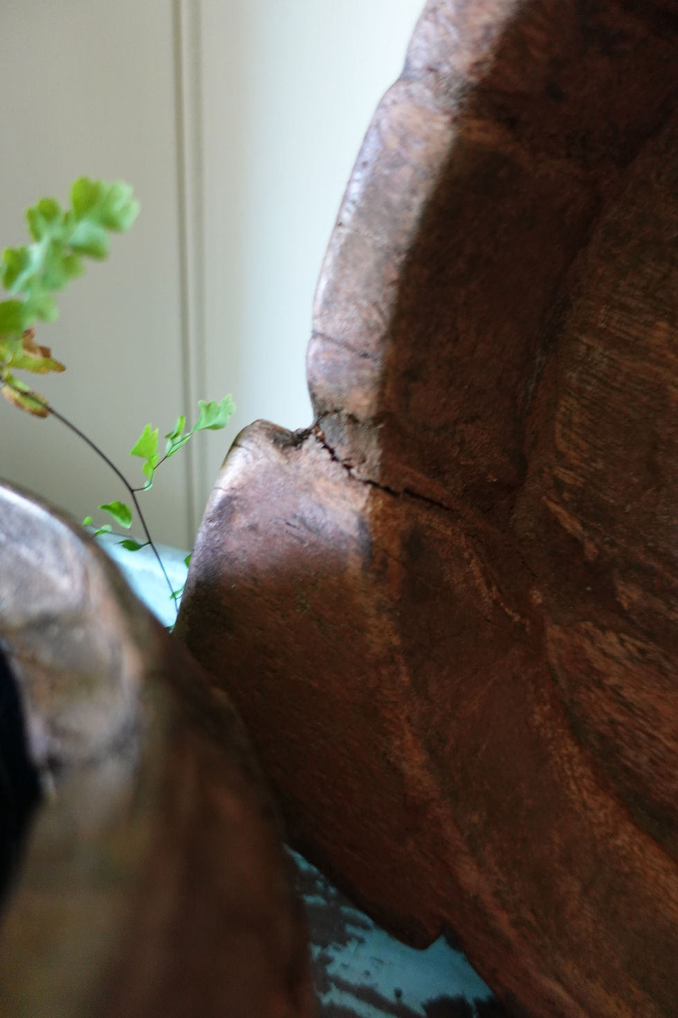 Thumbnail: Indian Parat bowl