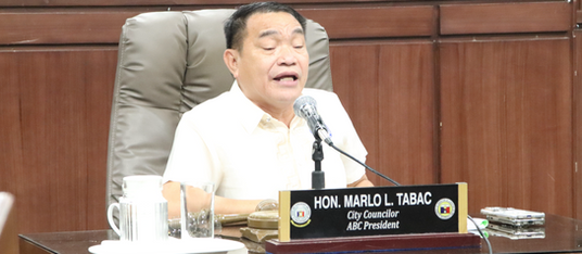 Brgy measures shelved pending legal review