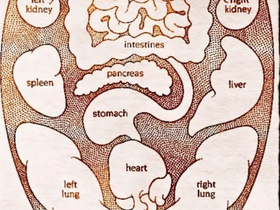 Tu lengua indica tu salud: Sabes cómo descifrarla??