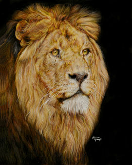 Lion Sept 2017.jpg