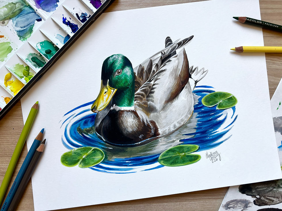 Thumbnail: Mallard on a Pond Original