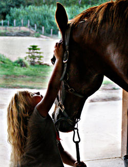 centre hipic torrelles