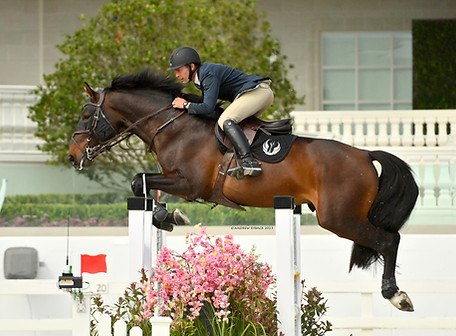 parkerdigital.2 copy.jpg