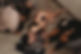 IMG_9984.jpeg