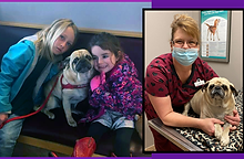 Helping-Families-Pets.png
