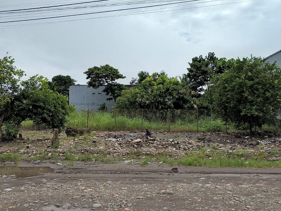 Miniatura: TERRENO ESQUINERO A UNA CUADRA DE LA AVENIDA