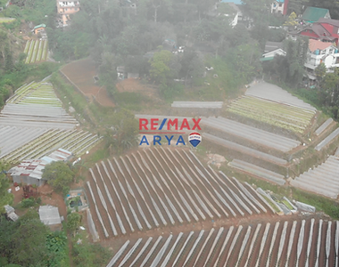 10,400 SQM Residential Lot In Baguio City