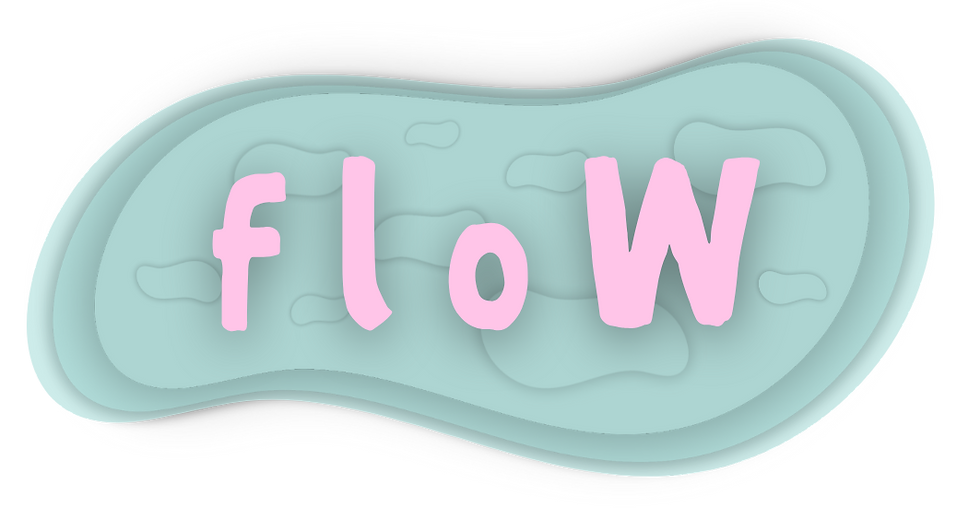 flow (1).png