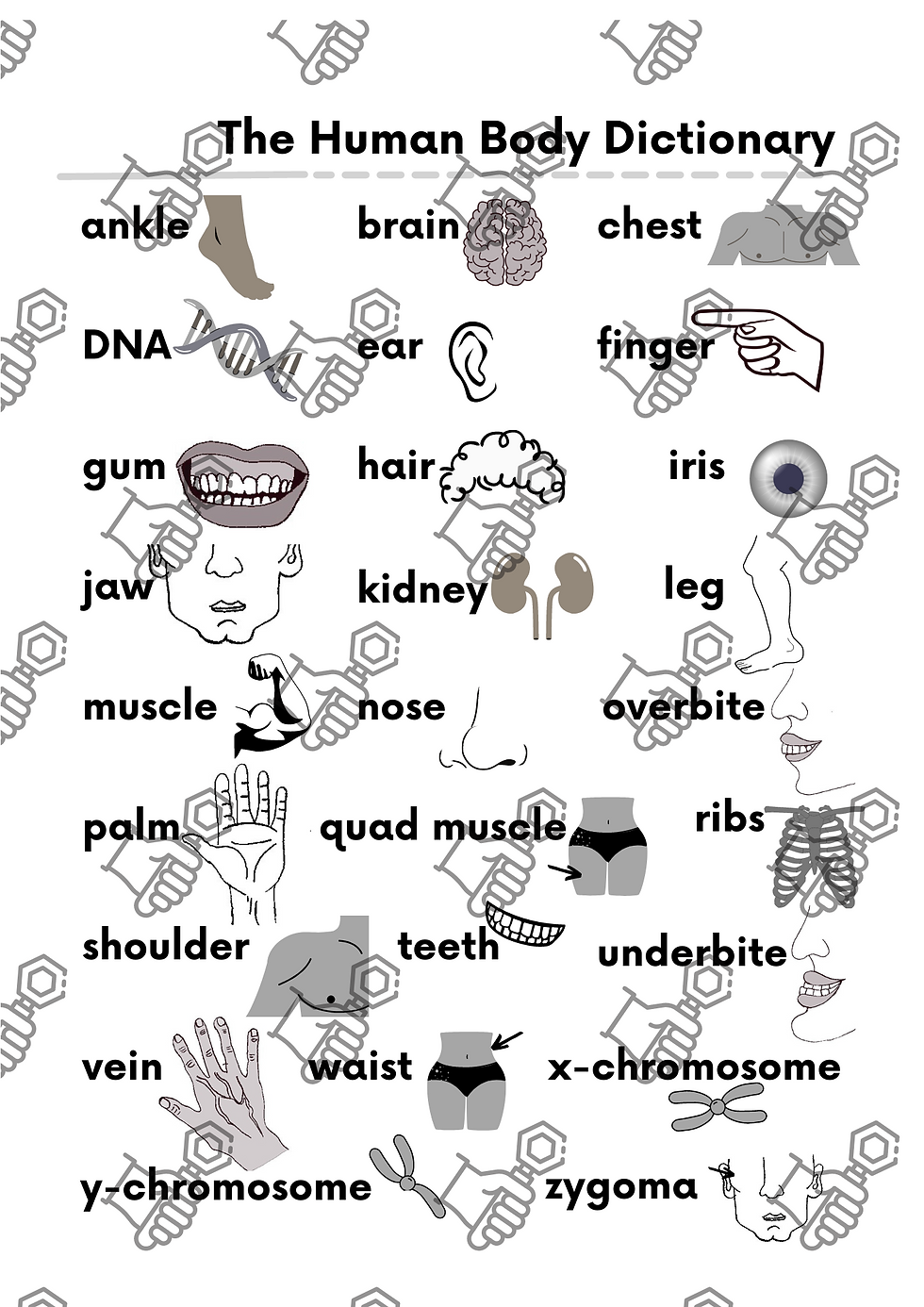 Thumbnail: My Handwriting "Human Body" Workbook - E-book