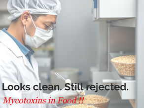 Mycotoxins in food contamination risk despite clean appearance leading to export rejection