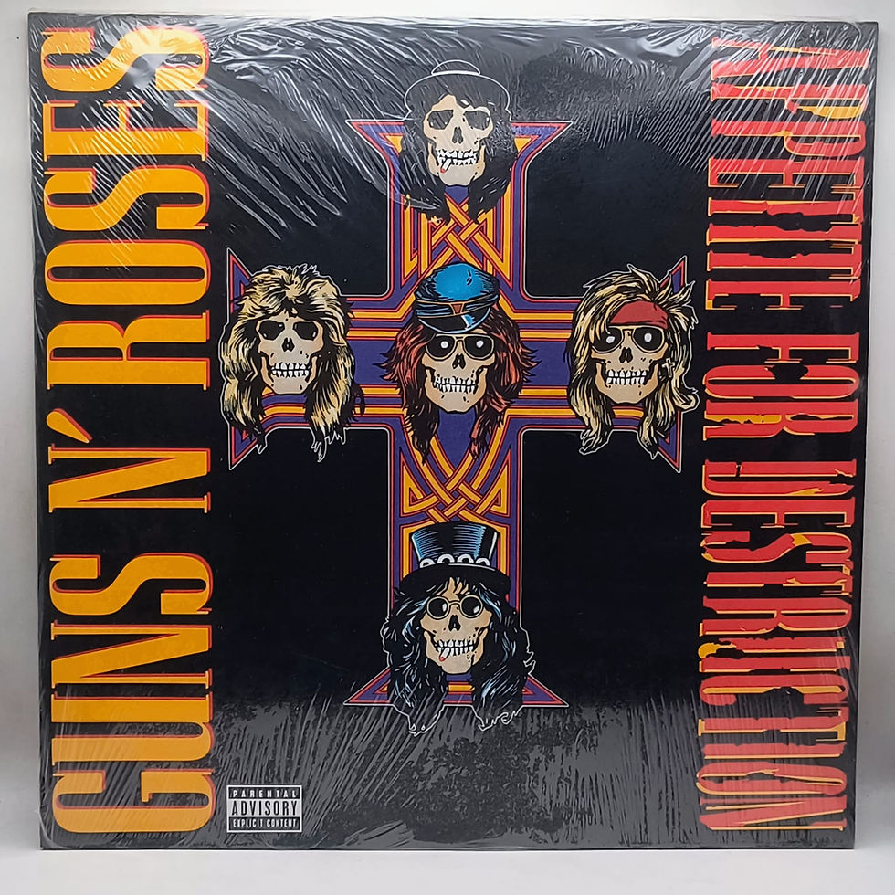 Guns & Roses - Appetive For Destrucction (Black Vinyl)