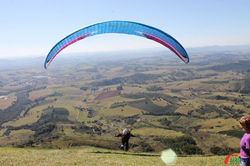 13516536_993153484114758_9095334805861205907_n