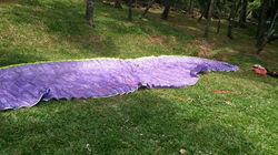 17342586_1270991872997583_4332603718223070931_n