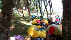 17498429_1273159702780800_742972220092570983_n