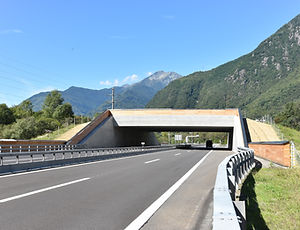 DSC_0010.jpg