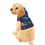 Thumbnail: Floral Pet Hoodie - I Am a Big Dog - Cozy Dog Apparel for All Seasons