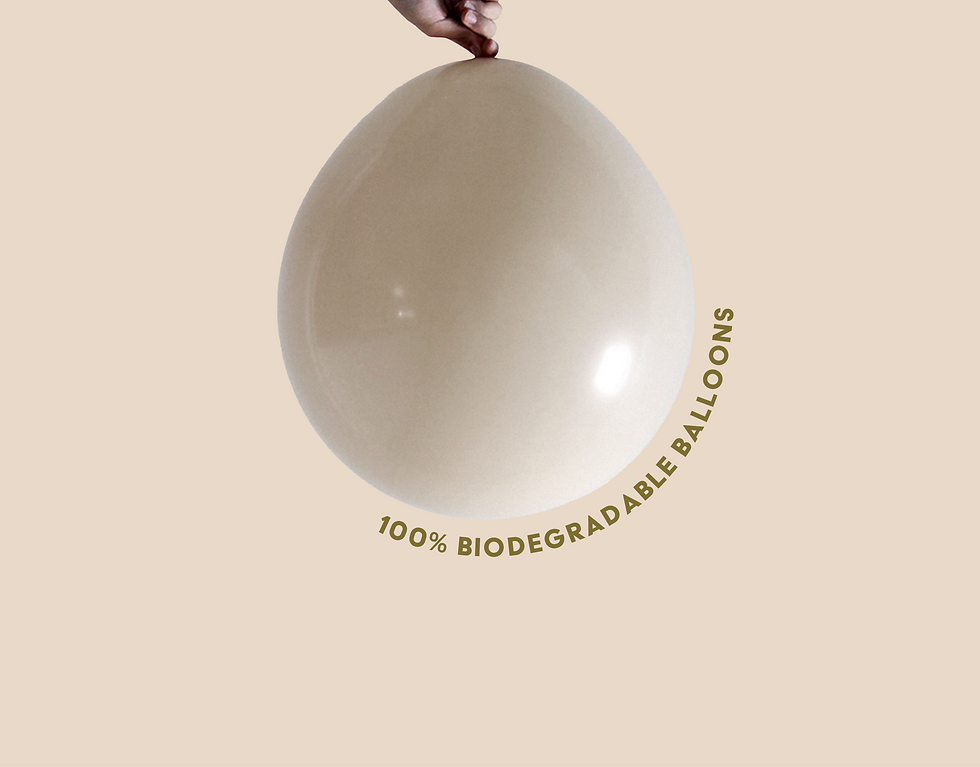 C+C Portfolio-13.png