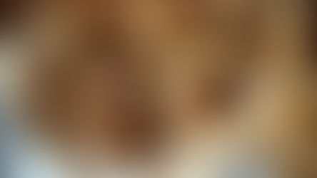 New article on La Cucina Italiana!