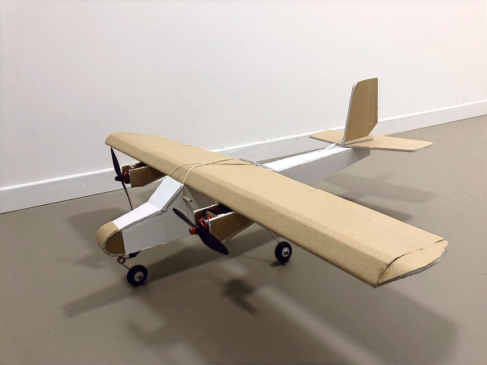 RC Airplane