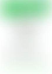 Integrationsfest Strasswalchen