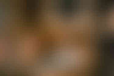 440475350_411957994932733_6738456400508822821_n