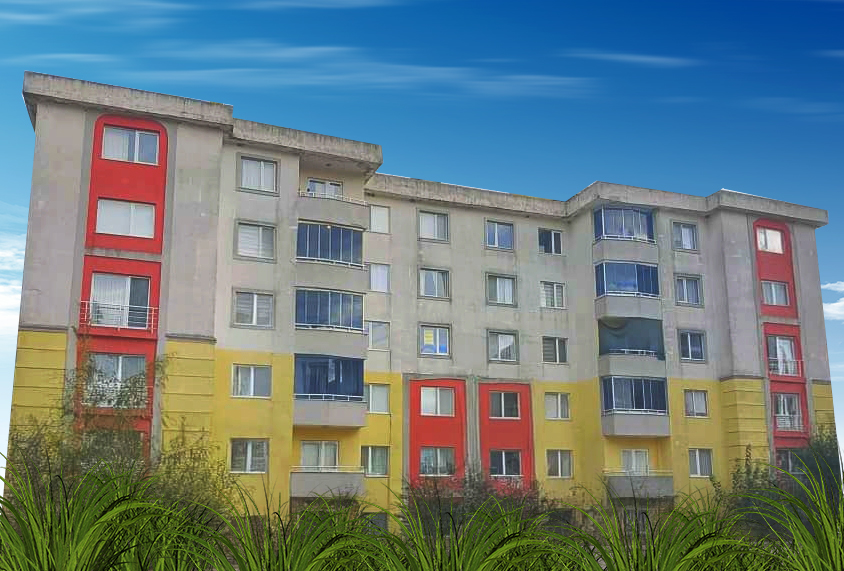 a placeholder image.