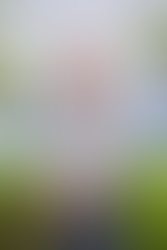 Diego Stembert Appointed General Manager of Four Seasons Resort and Residences Anguilla