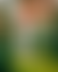 2 x General Manager Job Leads (New) - Belmond