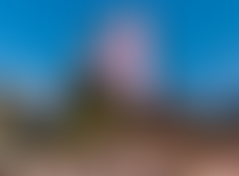 3 x Global News Updates from Hyatt Hotels