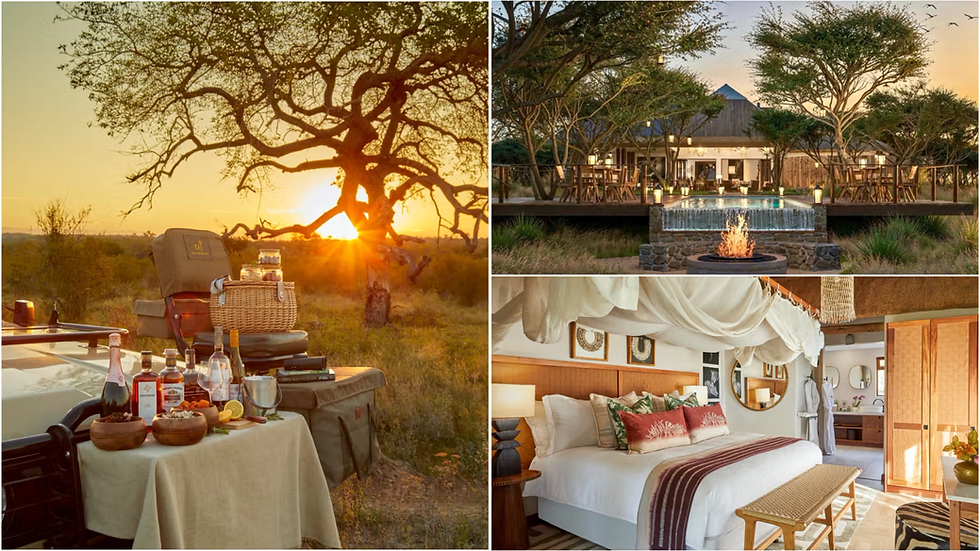 The Greater Kruger area is one of the world's premier safari destinations, attracting high-spending international travelers who combine luxury accommodations with game viewing