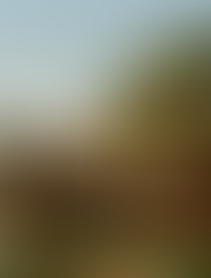 Tim Weiland appointed GM at AMANJENA