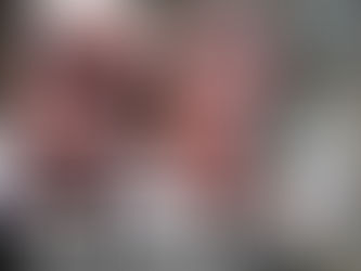 Movimentações bilionárias sob suspeita: o relatório do COAF sobre Nelson e Anne Willians.