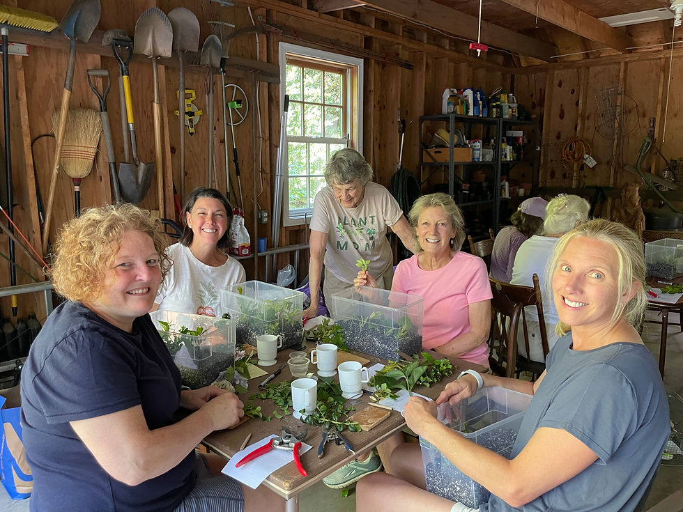 Hard wood Propagation Workshop