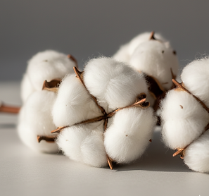 Cotton