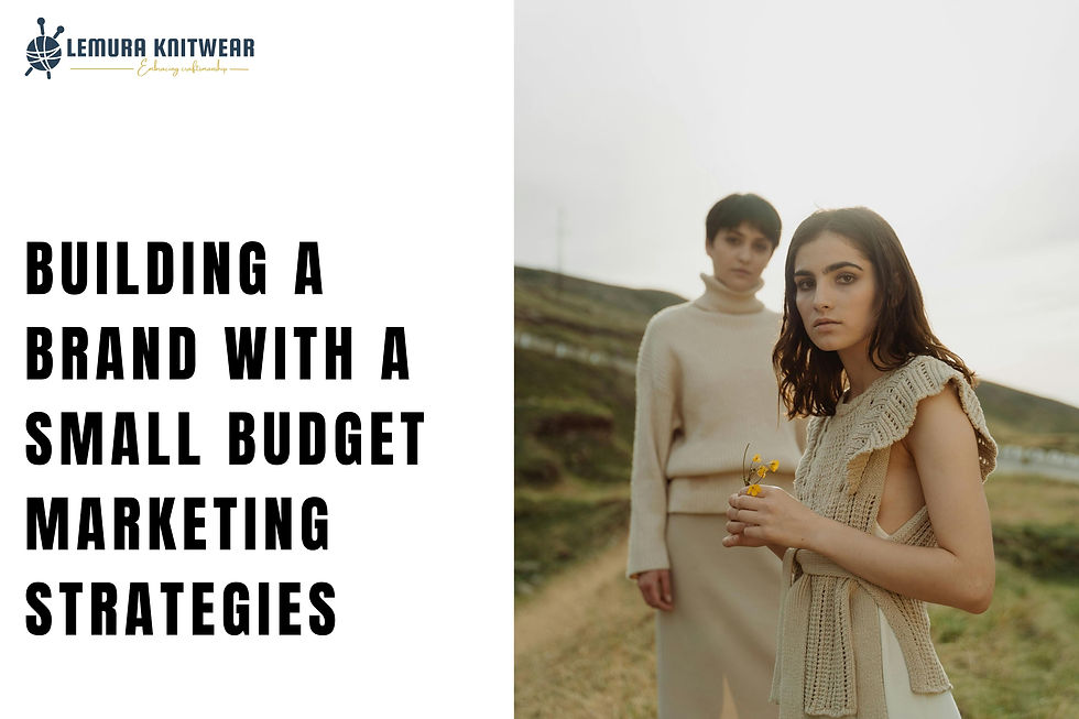 Small Budget Marketing Strategies