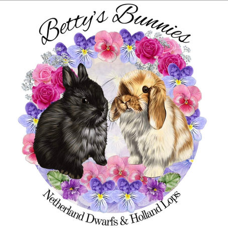 Blogs - Coming soon!