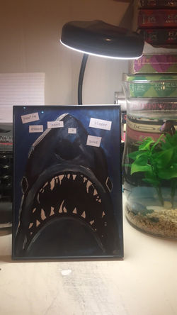 Jaws