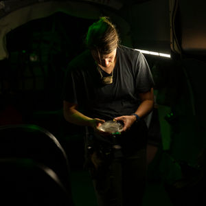 Photography